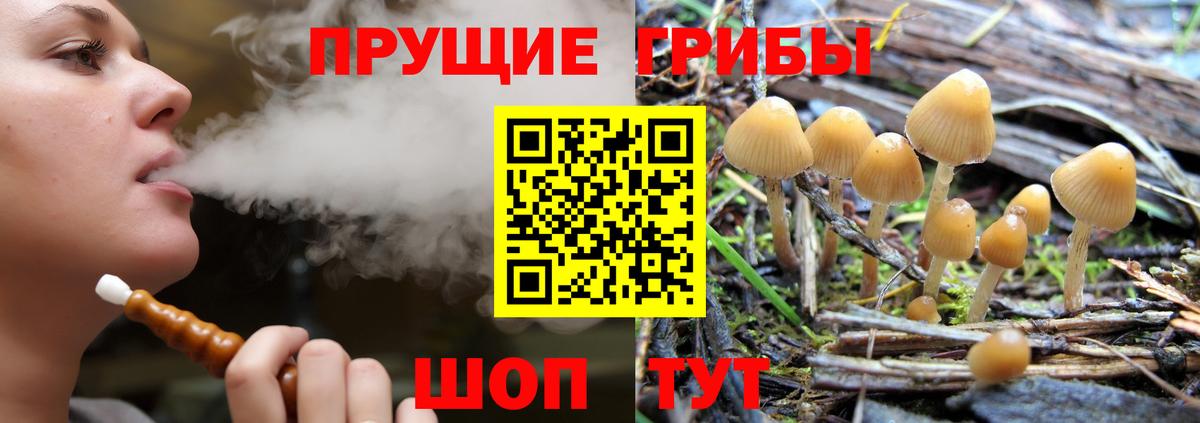 Псилоцибиновые грибы GOLDEN TEACHER  Вход с VPN  Абинск 